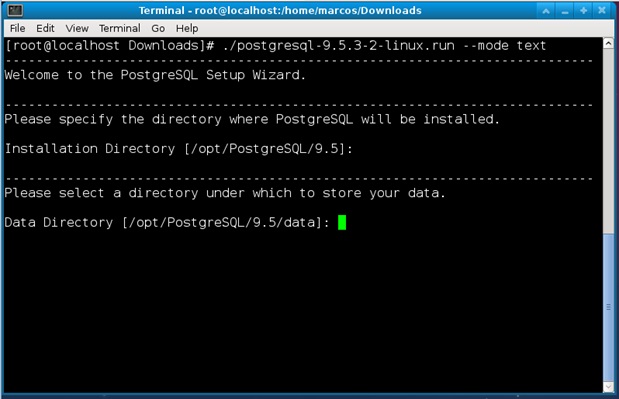 wizard-linux-pg2